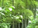 源さんの放浪マップ