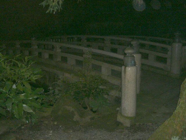 ”深夜の橋徘徊"