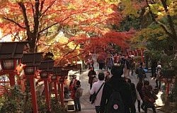 ルート検索
